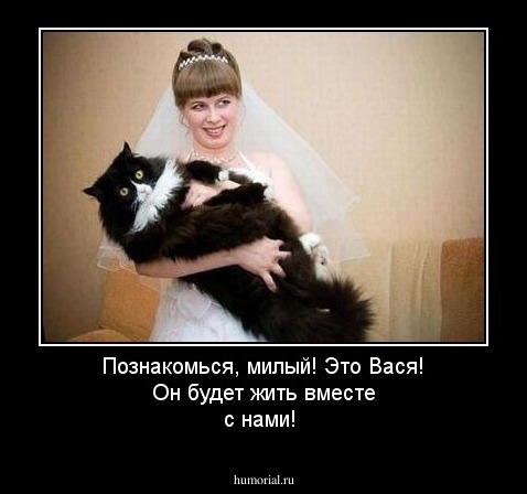 Познакомься, милый! Это Вася! Он будет жить вместе с нами!