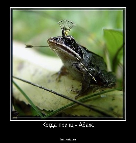 Когда принц - Абаж.