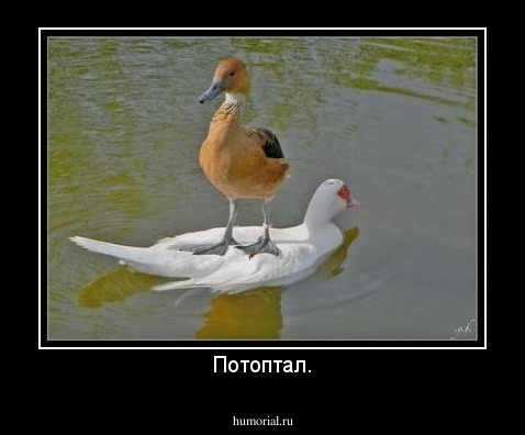 Потоптал.