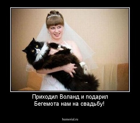 Приходил Воланд и подарил Бегемота нам на свадьбу!