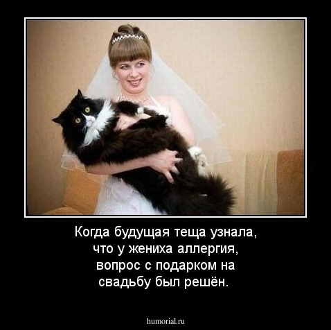 Когда будущая теща узнала, что у жениха аллергия, вопрос с подарком на свадьбу был решён.
