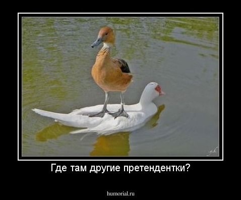 Где там другие претендентки?
