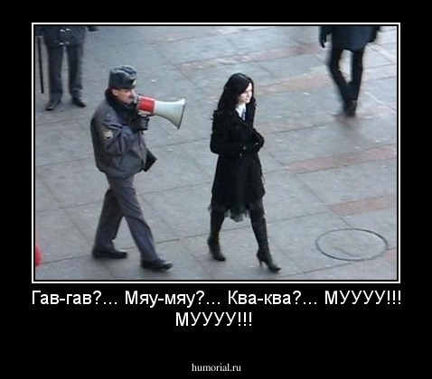 Гав-гав?... Мяу-мяу?... Ква-ква?...  МУУУУ!!! МУУУУ!!!