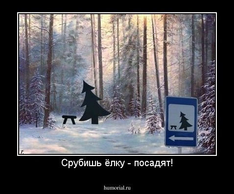 Срубишь ёлку - посадят!