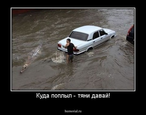 Куда поплыл - тяни давай!