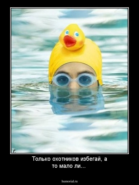 Только охотников избегай, а то мало ли...