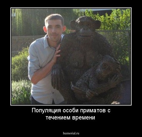 Популяция особи приматов с течением времени