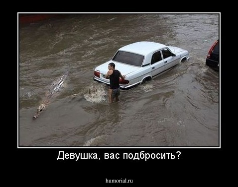 Девушка, вас подбросить?