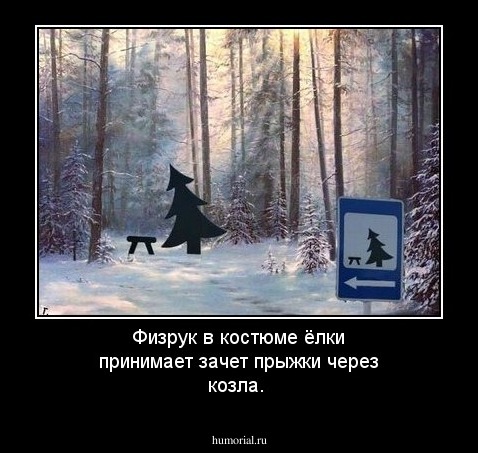 Физрук в костюме ёлки принимает зачет прыжки через козла.