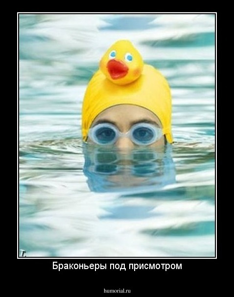 Браконьеры под присмотром