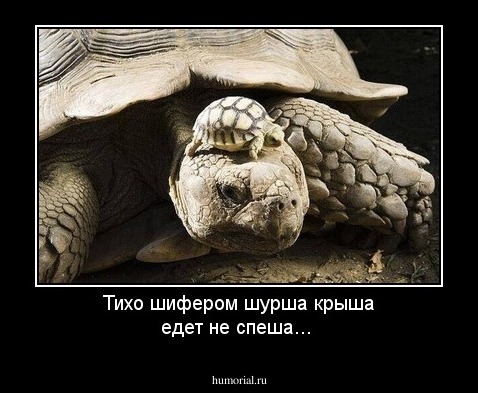 Тихо шифером шурша крыша едет не спеша...