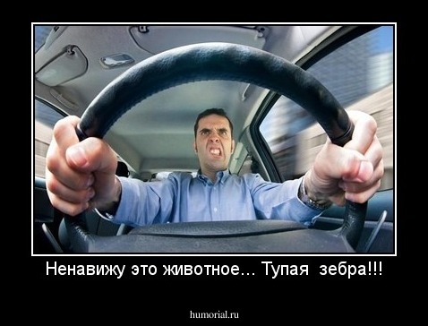Ненавижу это животное... Тупая  зебра!!!