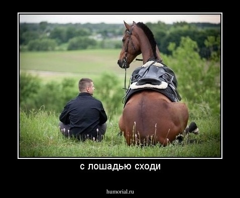 с лошaдью сходи