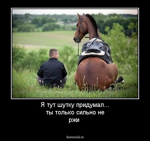 Я тут шутку придумал... ты только сильно не ржи