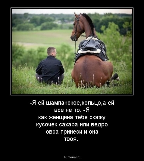 -Я ей шампанское,кольцо,а ей все не то.
-Я как женщина тебе скажу кусочек сахара или ведро овса принеси и она твоя.