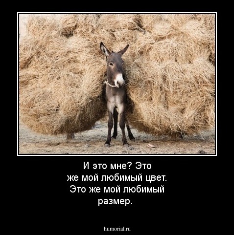И это мне?
Это же мой любимый цвет.
Это же мой любимый размер.