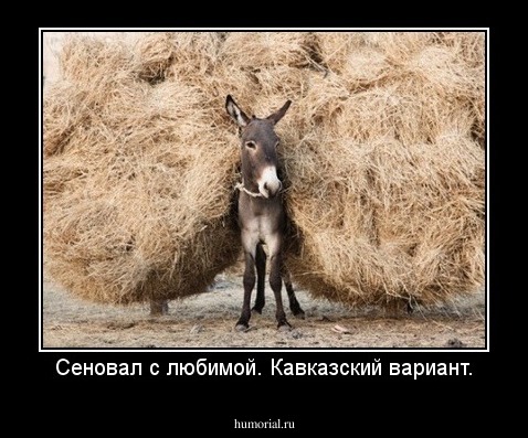 Сеновал с любимой. Кавказский вариант.