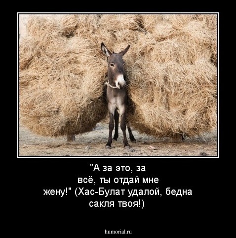 
"А за это, за всё, ты отдай мне жену!" (Хас-Булат удалой, бедна сакля твоя!)