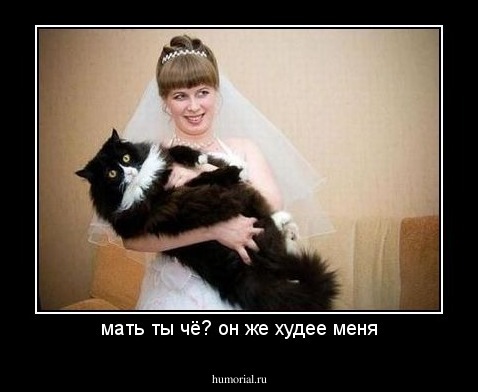 мать ты чё? он же худее меня