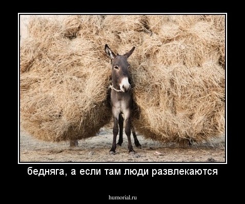 бедняга, а если там люди развлекаются