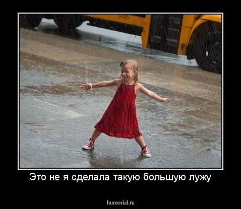 Это не я сделала такую большую лужу