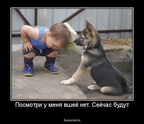Посмотри у меня вшей нет. Сейчас будут