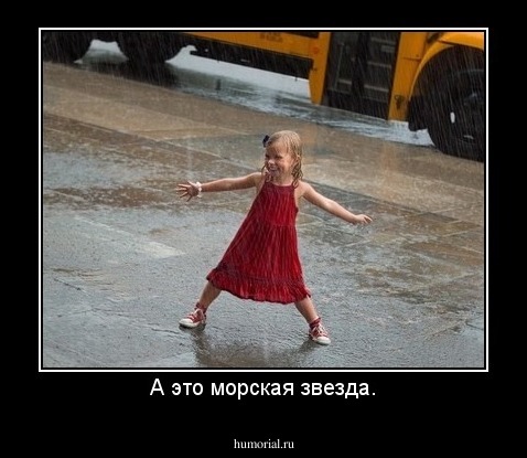 А это морская звезда.