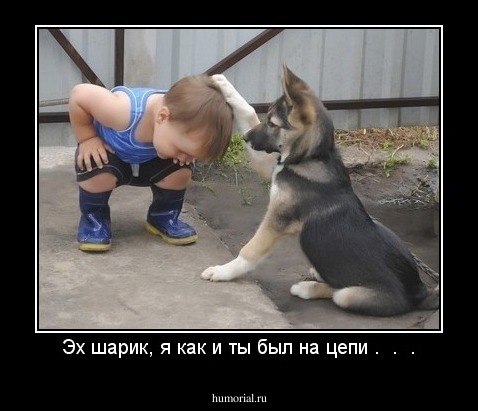 Эх шарик, я как и ты был на цепи .  .  .