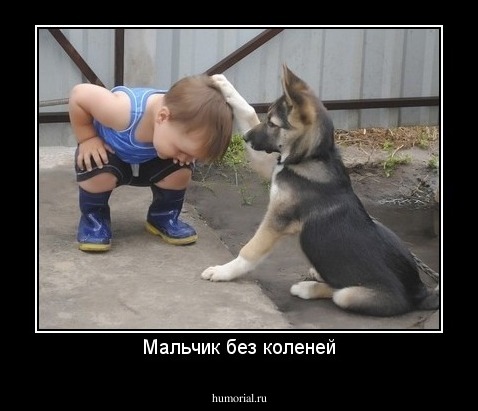 Мальчик без коленей