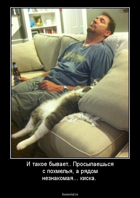 И такое бывает.. Просыпаешься с похмелья, а рядом незнакомая... киска.