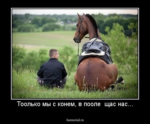 Тоолько мы с конем, в пооле  щас нас...