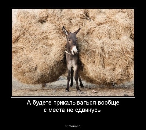 А будете прикалываться вообще с места не сдвинусь