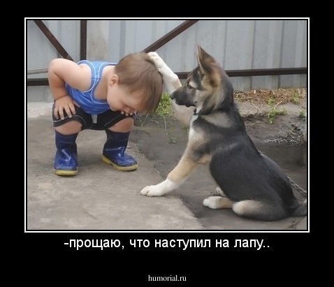 -прощаю, что наступил на лапу..