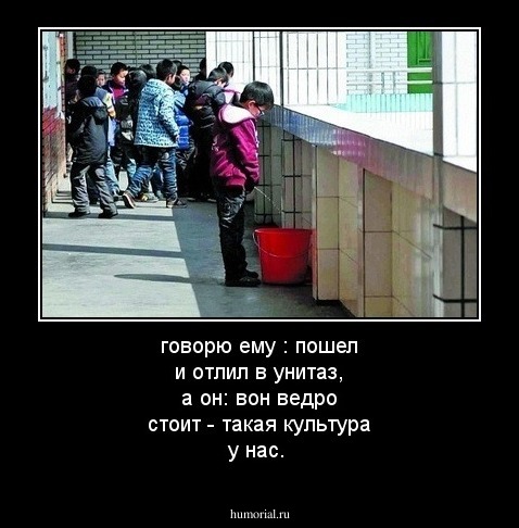 говорю ему : пошел и отлил в унитаз, а он: вон ведро стоит -  такая культура у нас.