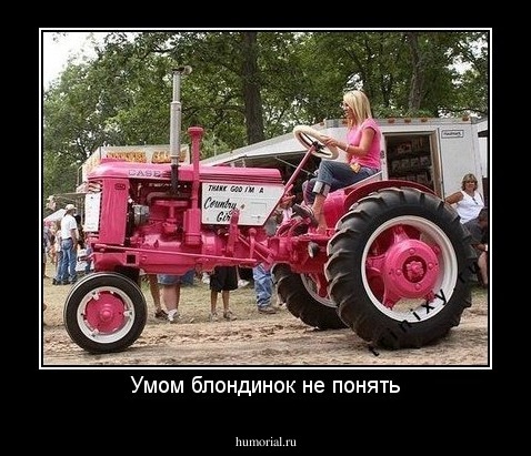 Умом блондинок не понять