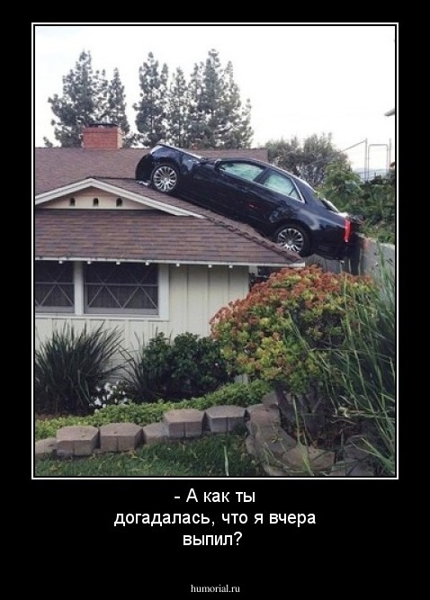 - А как ты догадалась, что я вчера выпил?