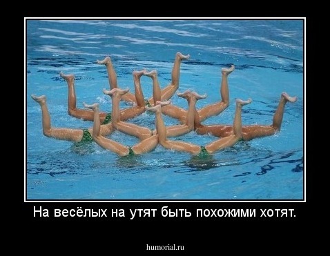 На весёлых на утят быть похожими хотят.