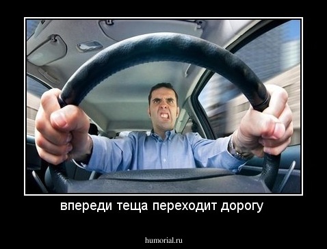 впереди теща переходит дорогу 