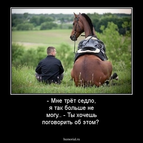 - Мне трёт седло, я так больше не могу.. 
- Ты хочешь поговорить об этом?