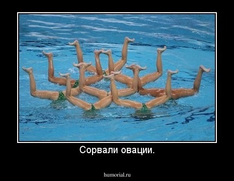 Сорвали овации.