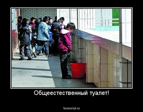 Общеестественный туалет!