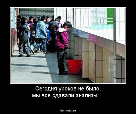 Сегодня уроков не было, мы все сдавали анализы...