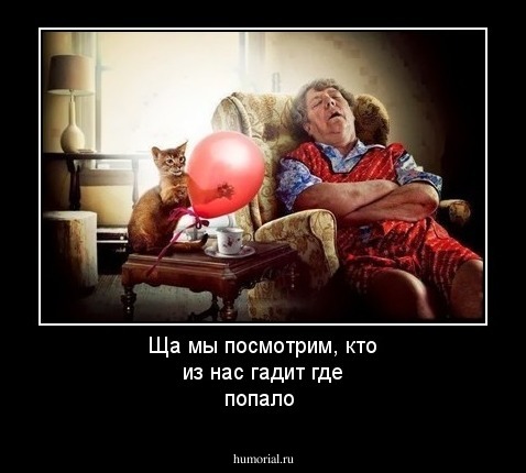 Ща мы посмотрим, кто из нас гадит где попало