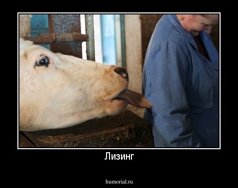 Лизинг