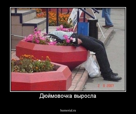 Дюймовочка выросла