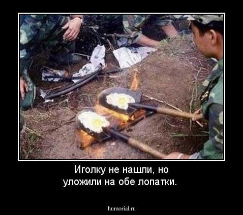 Иголку не нашли, но уложили на  обе лопатки.