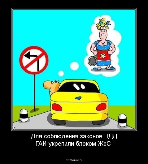 Для соблюдения законов ПДД ГАИ укрепили блоком ЖсС