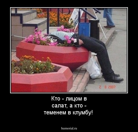 Кто - лицом в салат, а кто - теменем в клумбу!