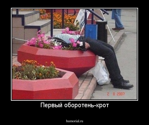Первый оборотень-крот