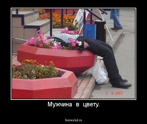 Мужчина  в  цвету.